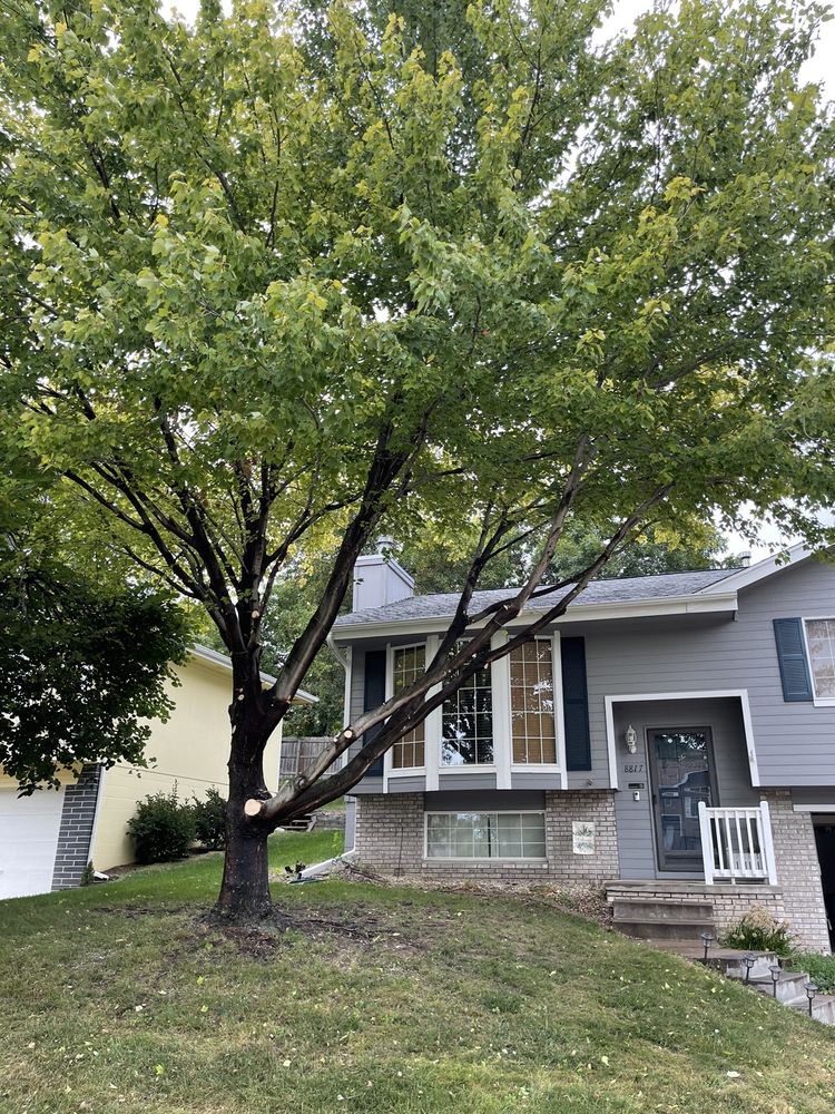 Cornhusker Tree Service