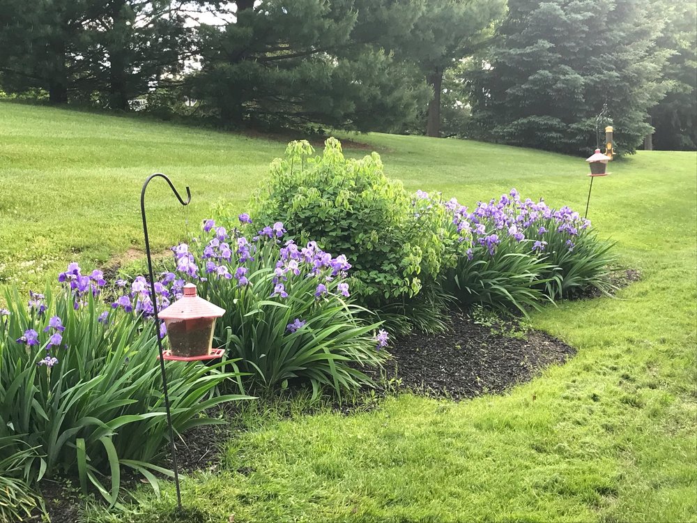 image of business Green Hills Family & Cosmetic Dentistry