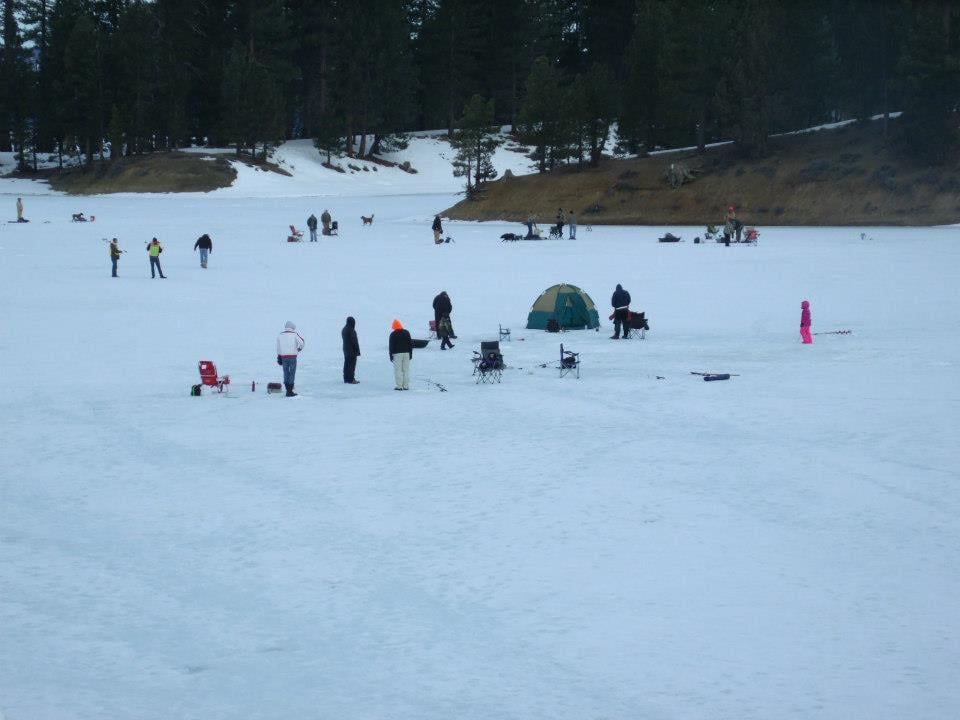 J&J's Grizzly Store and Camping Resort 7552 Lake Davis Rd, Portola