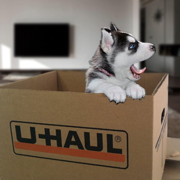 Storage Plus Boston 26 Reviews Movers 37 River St Waltham Ma Storage Plus Boston 26 Reviews Movers 37 River St Waltham Ma Phone Number Yelp