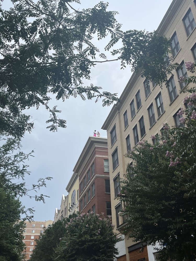 Beef Jerky Experience