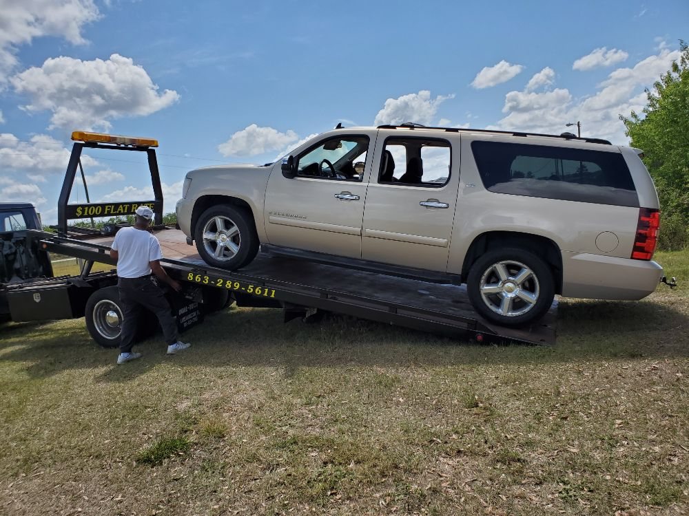 Baby Gorilla Towing