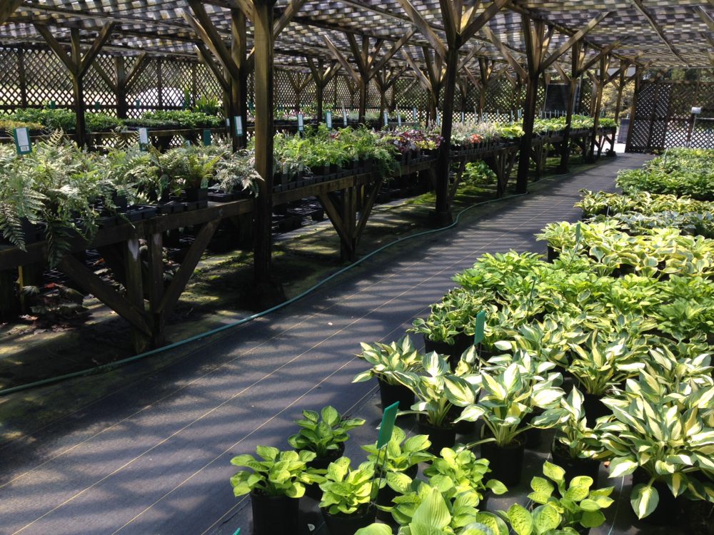 Frank's Perennial Border