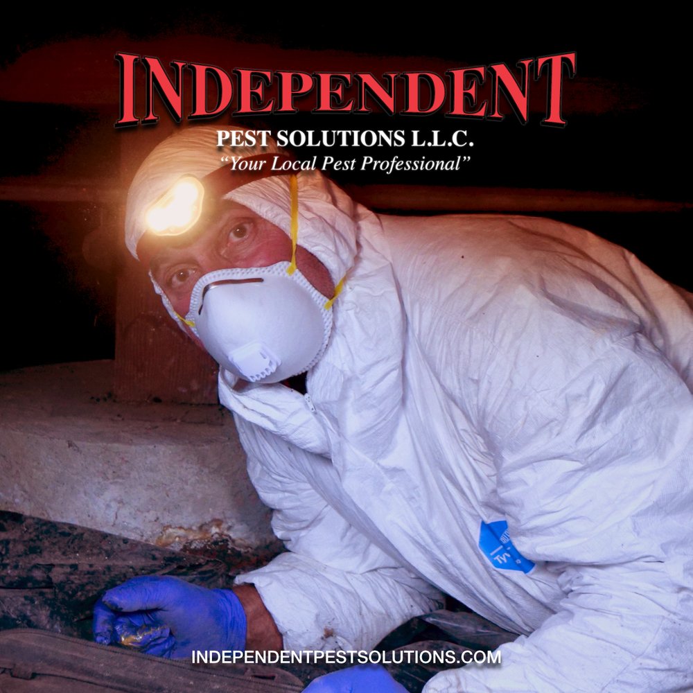 Independent Pest Solutions