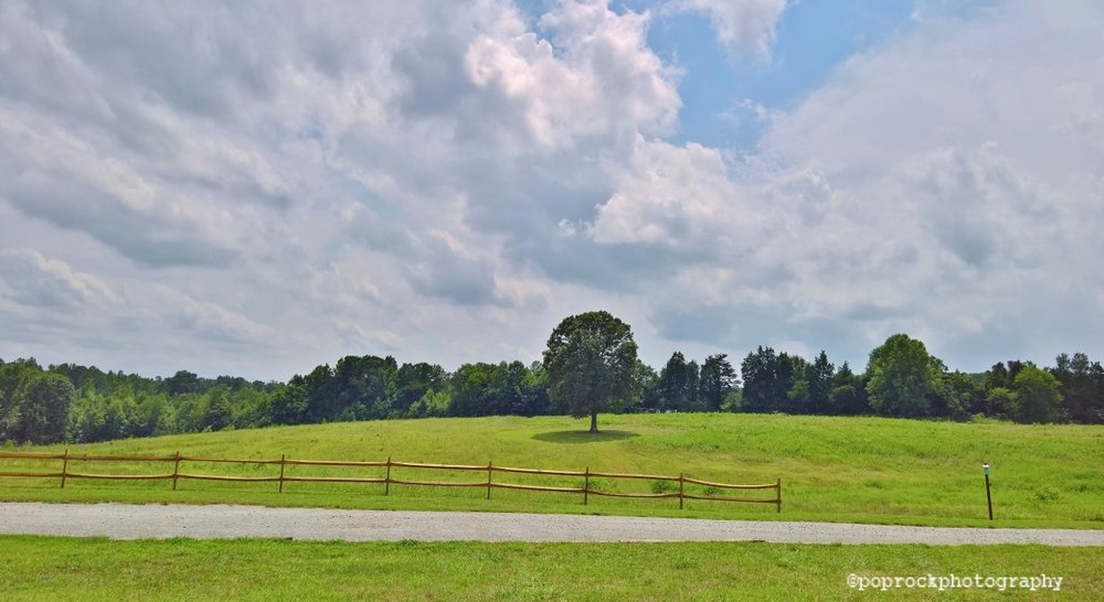 Daveste’ Vineyards 39 Photos & 21 Reviews Wineries 155 Lytton