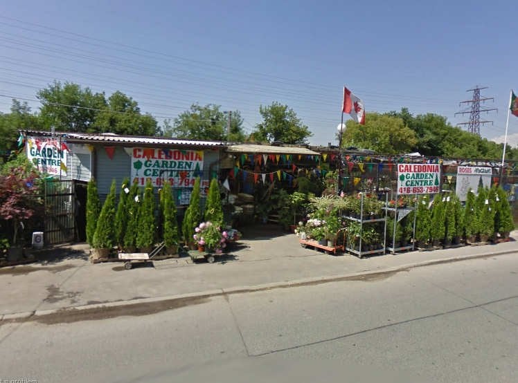 Caledonia Garden Centre