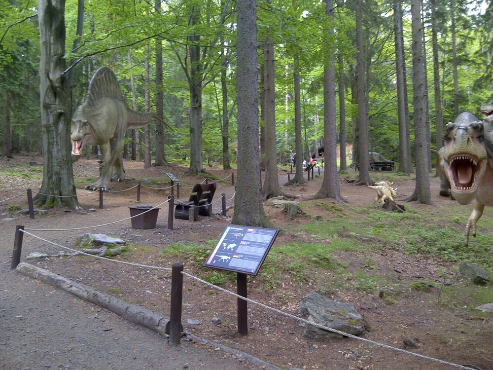 Photo of Park Dinozaurów Dinopark'