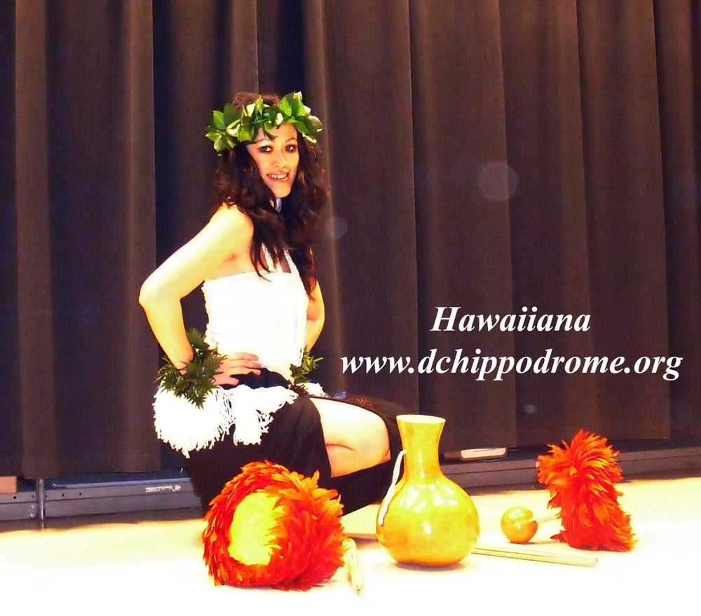 DC Hippodrome Variety Show Entertainment