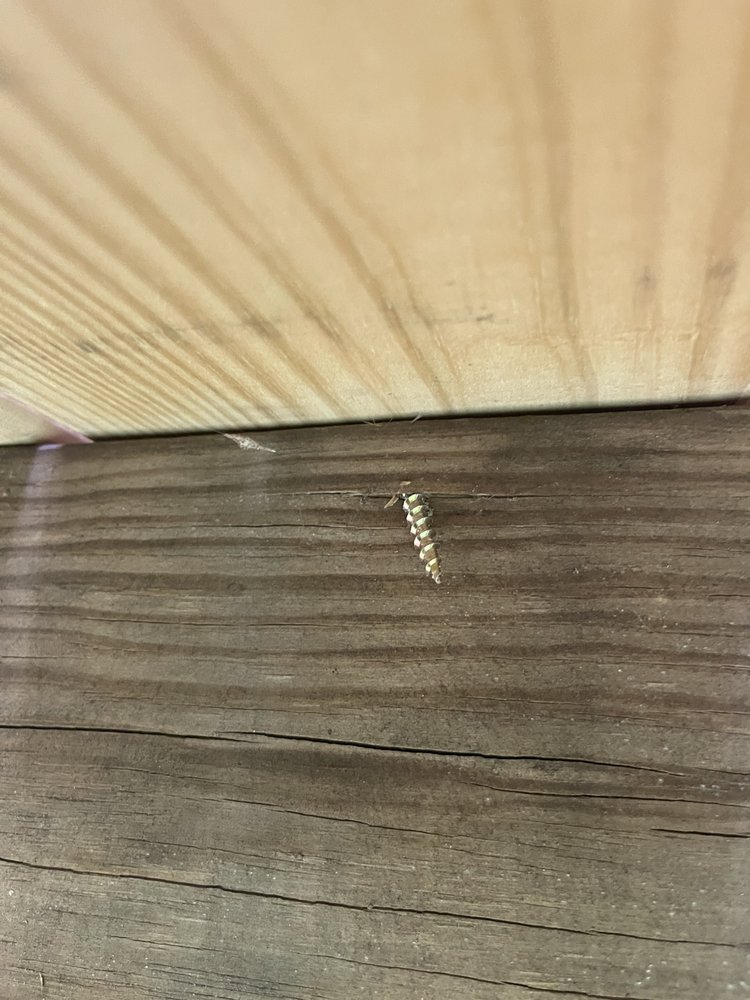 DHN Landscapes & Properties