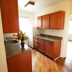 14 West Elm Apartments 45 Photos 22 Reviews W Photo Of 14 West Elm Apartments Chicago Il United States