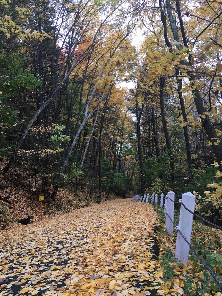 Mount Sugarloaf State Reservation 49 Photos Parks 300 Sugarloaf