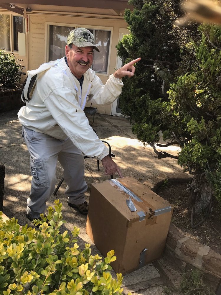 Tenacity Bee Rescue