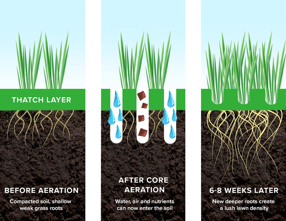 Inch's Natural Lawn Care 