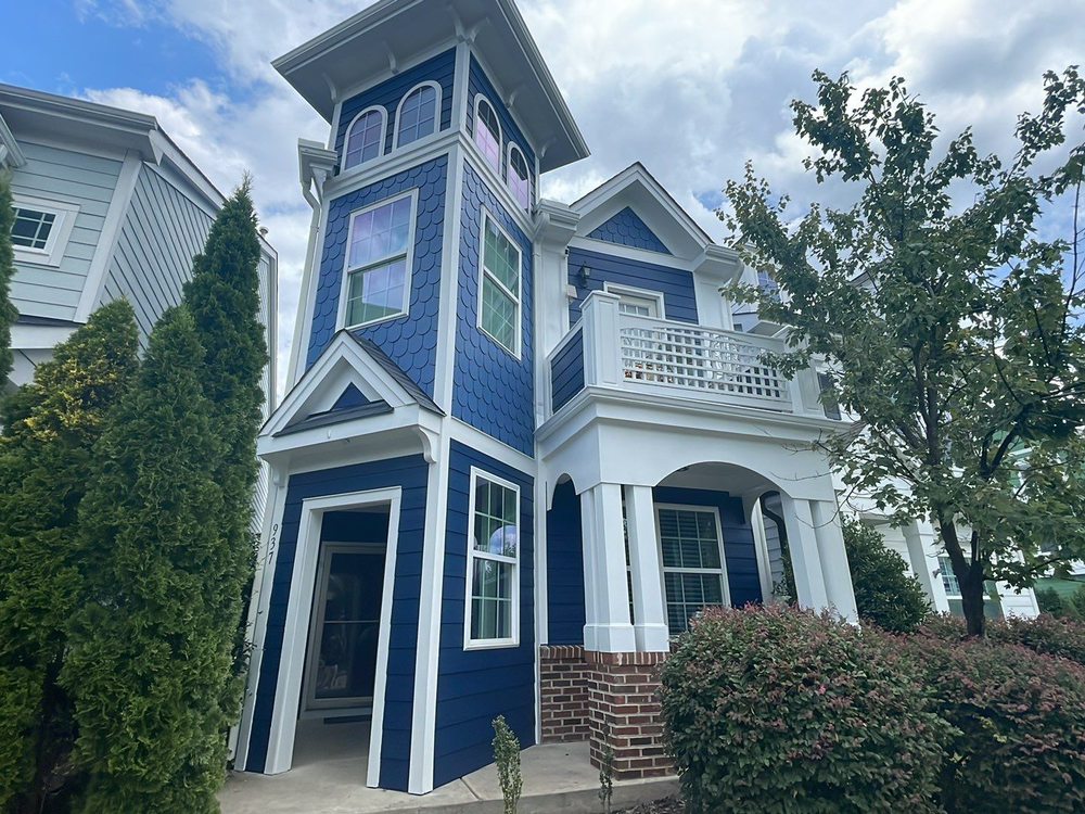 Triangle Pro Painting