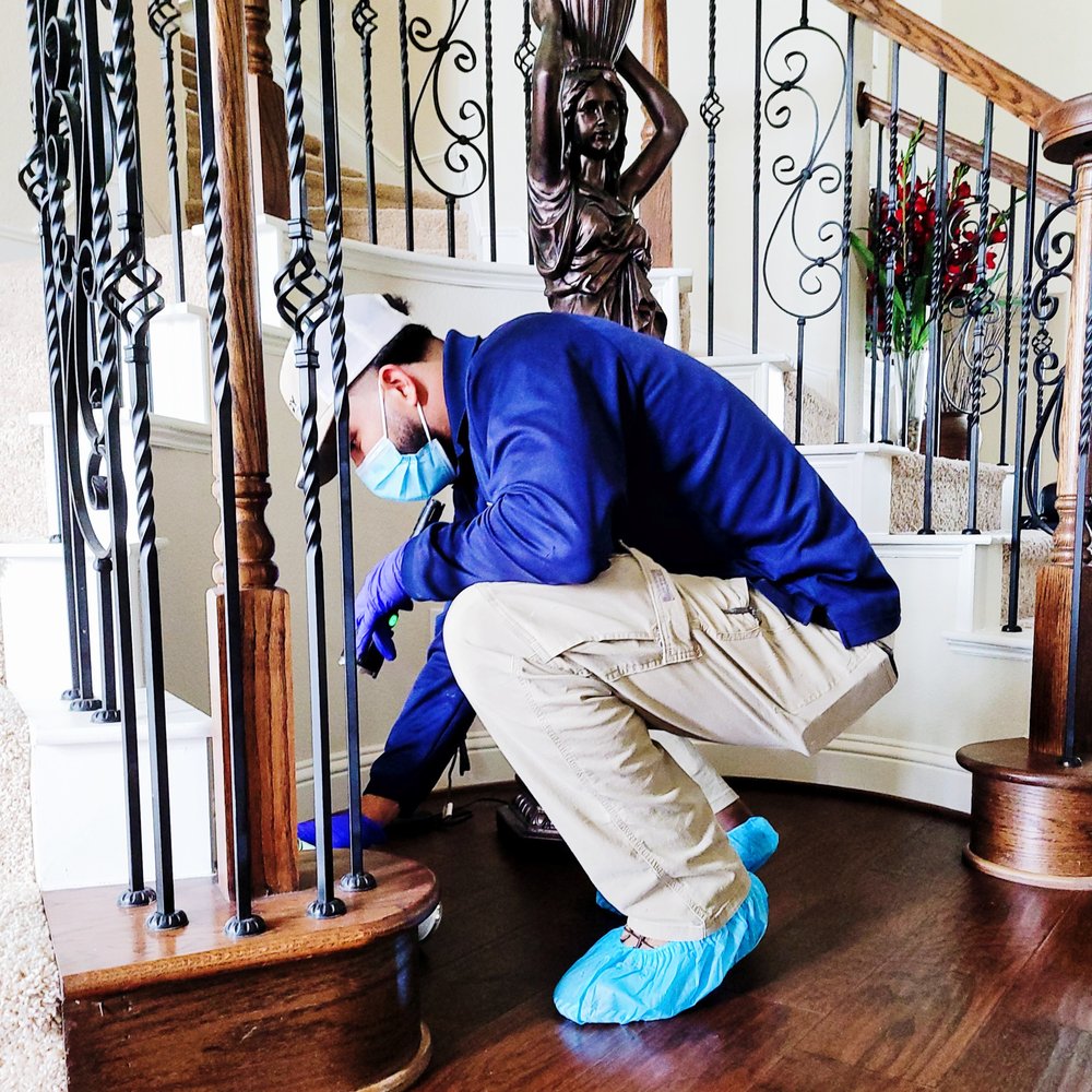 Brady Pest Control