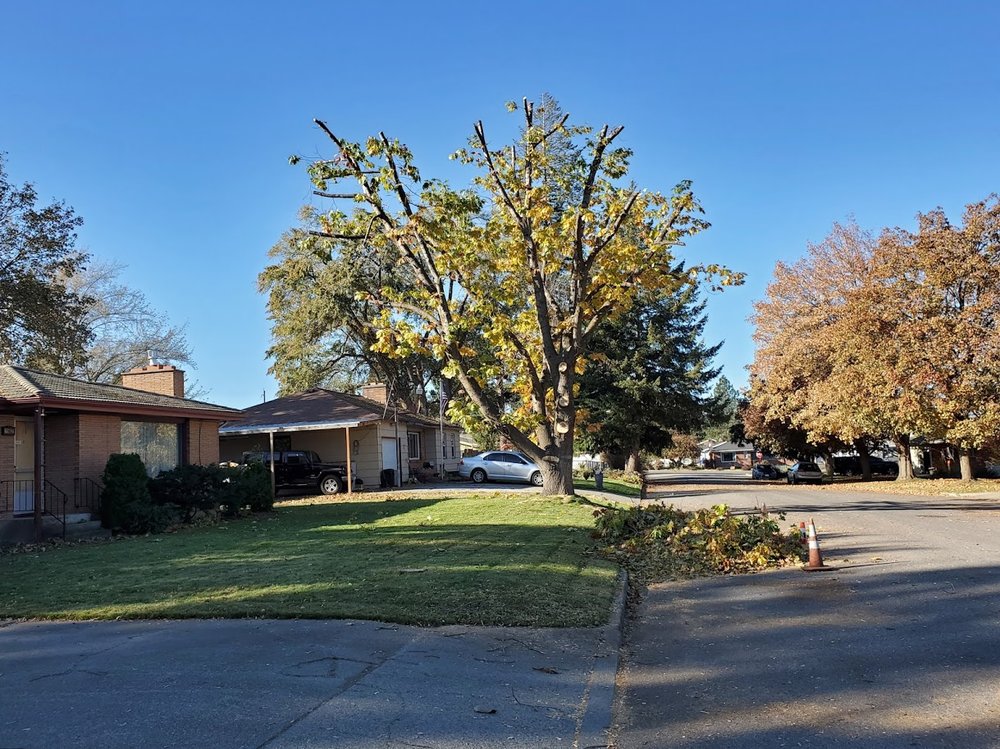 Red Ram Hauling And Tree Service