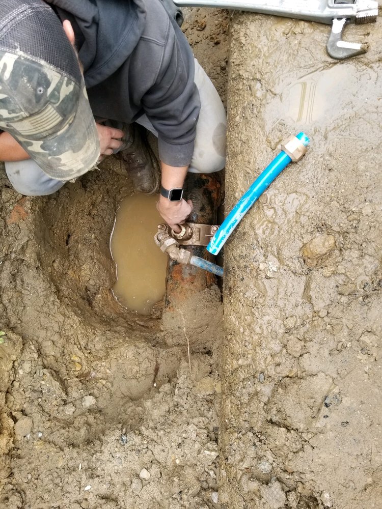 image of business Bob