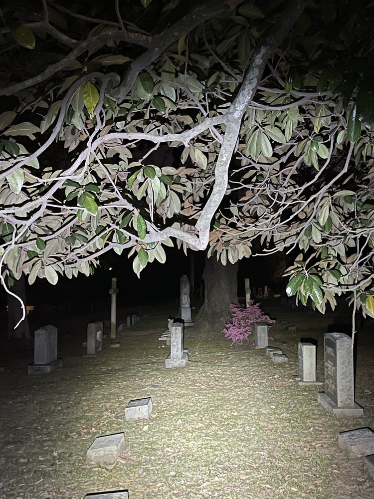 The Great Raleigh Trolley