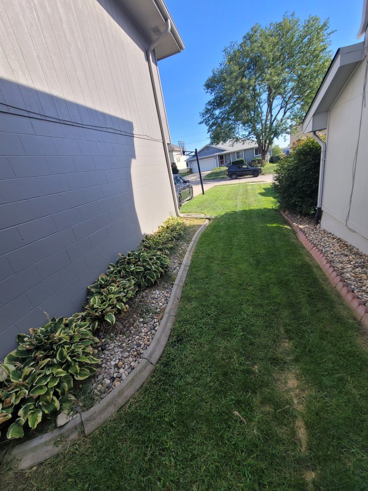 Loyal Lawn Services