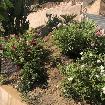 Flores Artscape 1615 Photos 218 Reviews Landscaping 3959 Photo Of Flores Artscape Los Angeles Ca United States