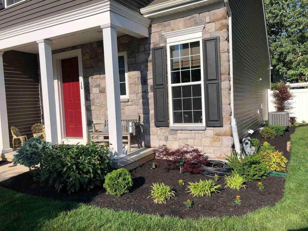 Paradise Plants & Patios