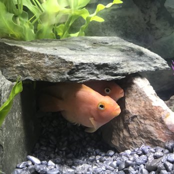 aquarium outfitters 13 photos