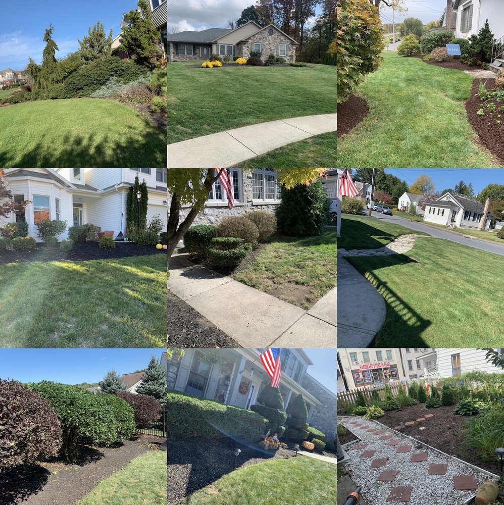Karaki Landscaping