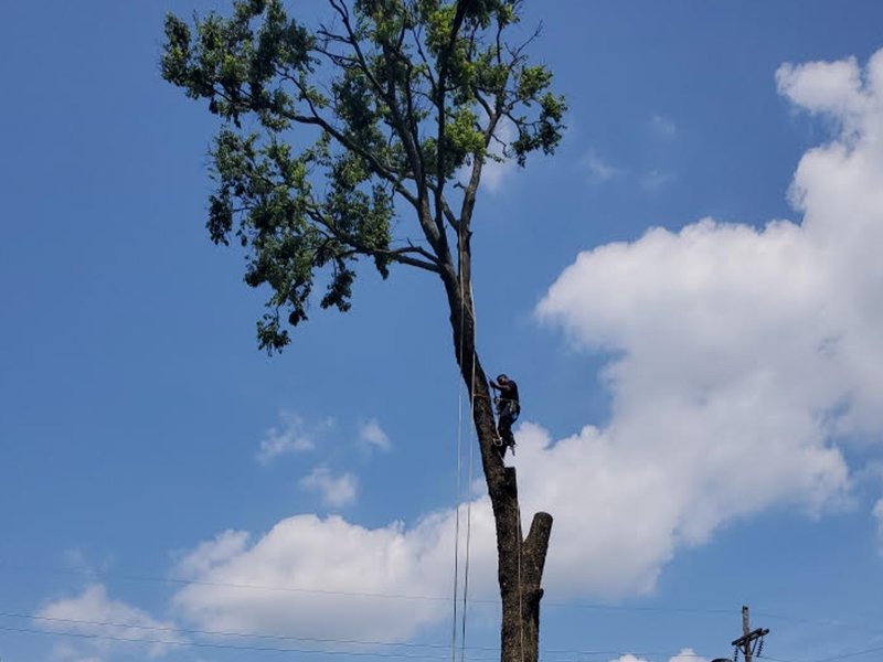 image of business RG