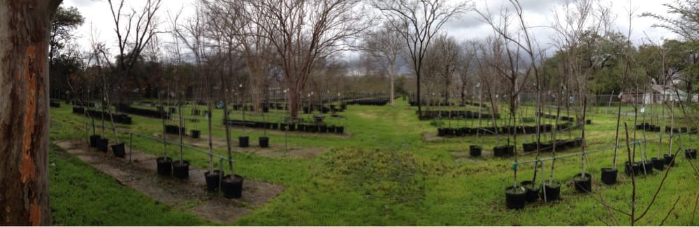 Fanick's Garden Center