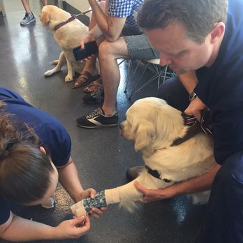 Providence Veterinary Hospital 34 Photos & 132 Reviews