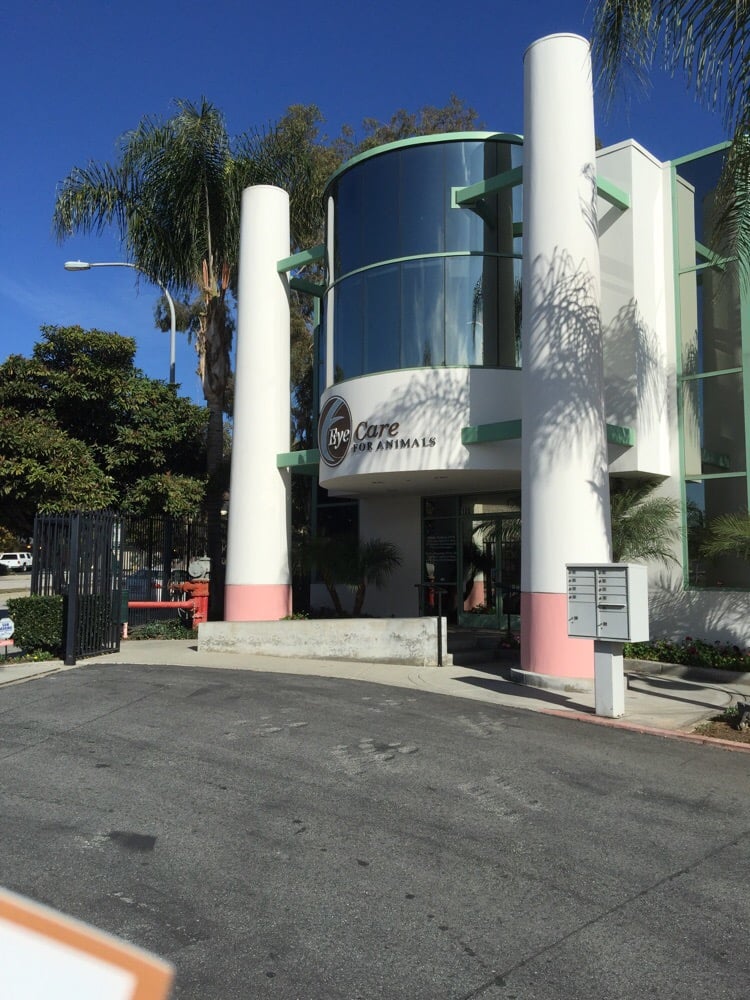 Photos for Eye Care for Animals Pasadena Yelp