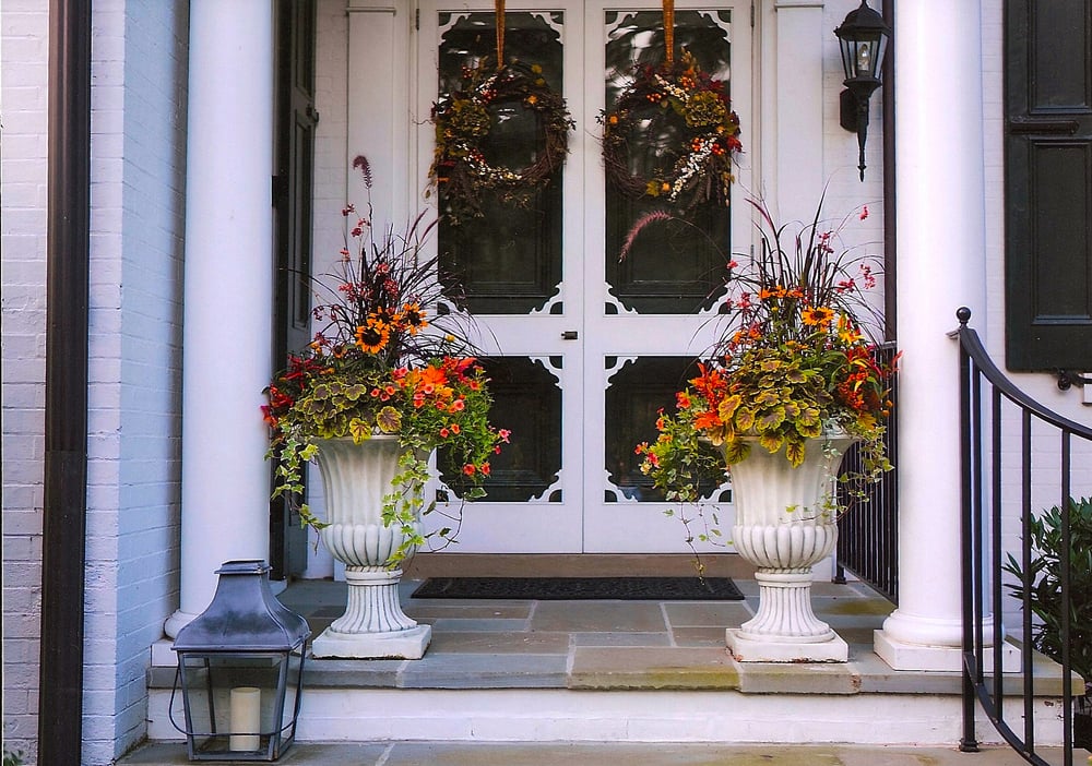 Bloom Container Gardens