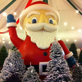 Pinery Christmas Trees - 10 Photos & 14 Reviews - Christmas Trees Photo of Pinery Christmas Trees - Del Mar, CA, United States. Easter Bunny - Pinery Christmas Trees - 10 Photos & 14 Reviews - Christmas Trees