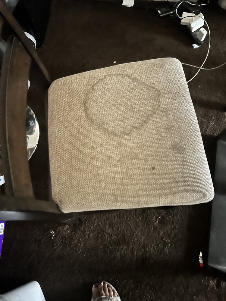 Flower Fresh Carpet & Upholstery Cleaning