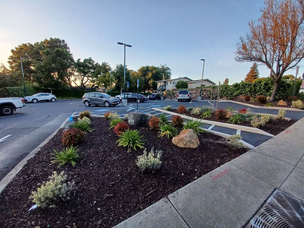 Parking Lot D