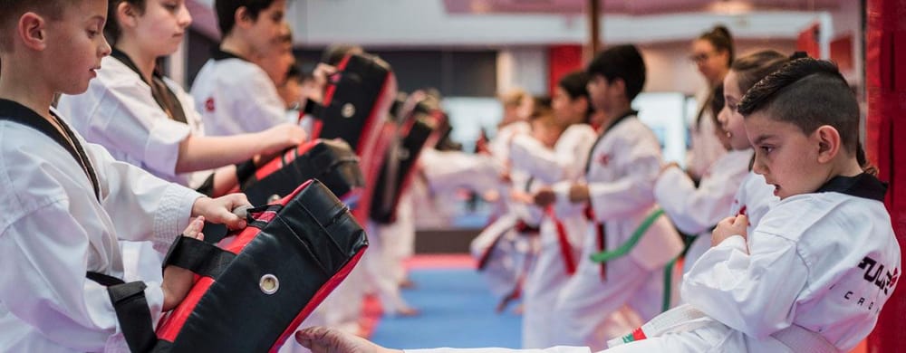Pulse Taekwondo Academy