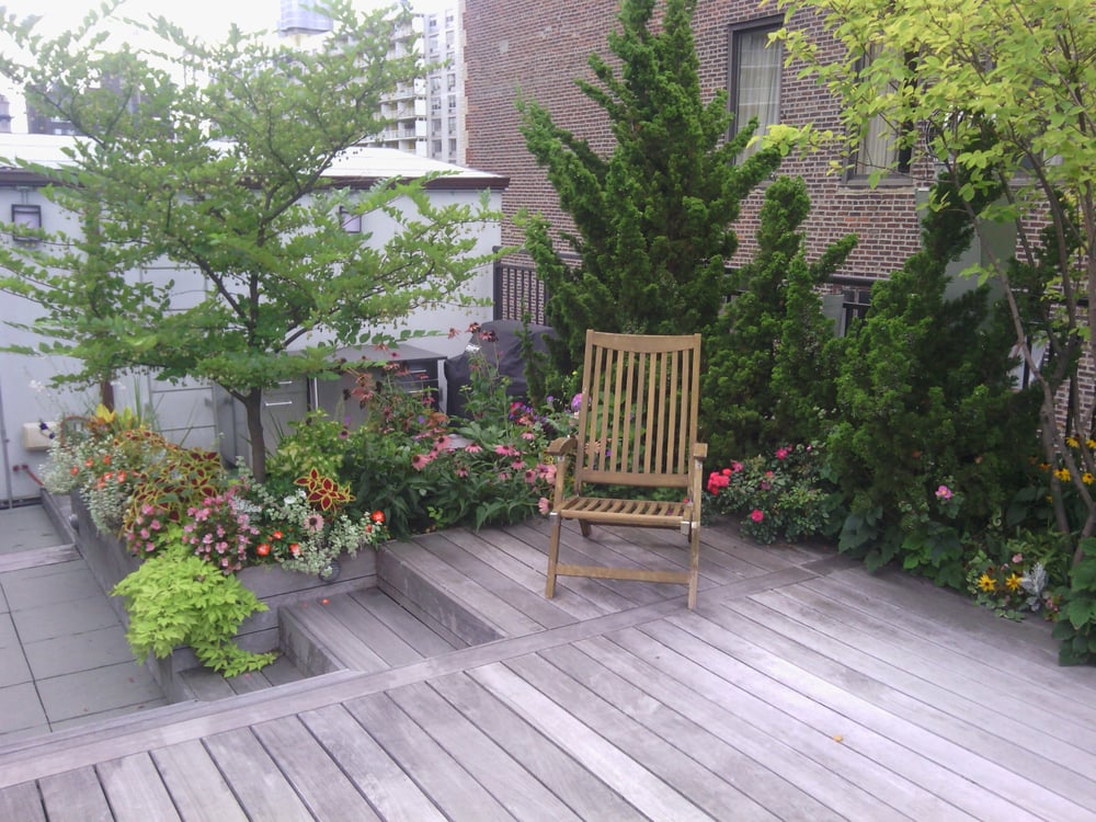 roof deck designed by nina trees shrubs flowers drip roof deck designed by nina trees shrubs flowers drip