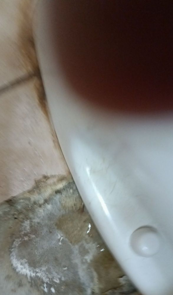 Wagner Plumbing