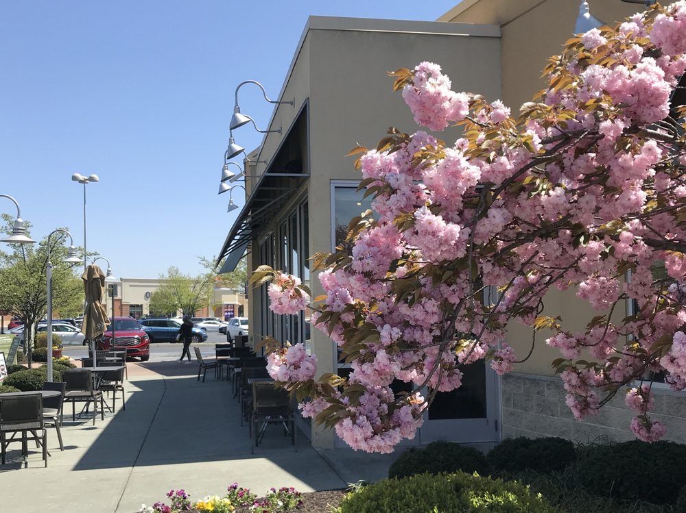Panera Bread