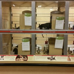 petsmart boarding near me