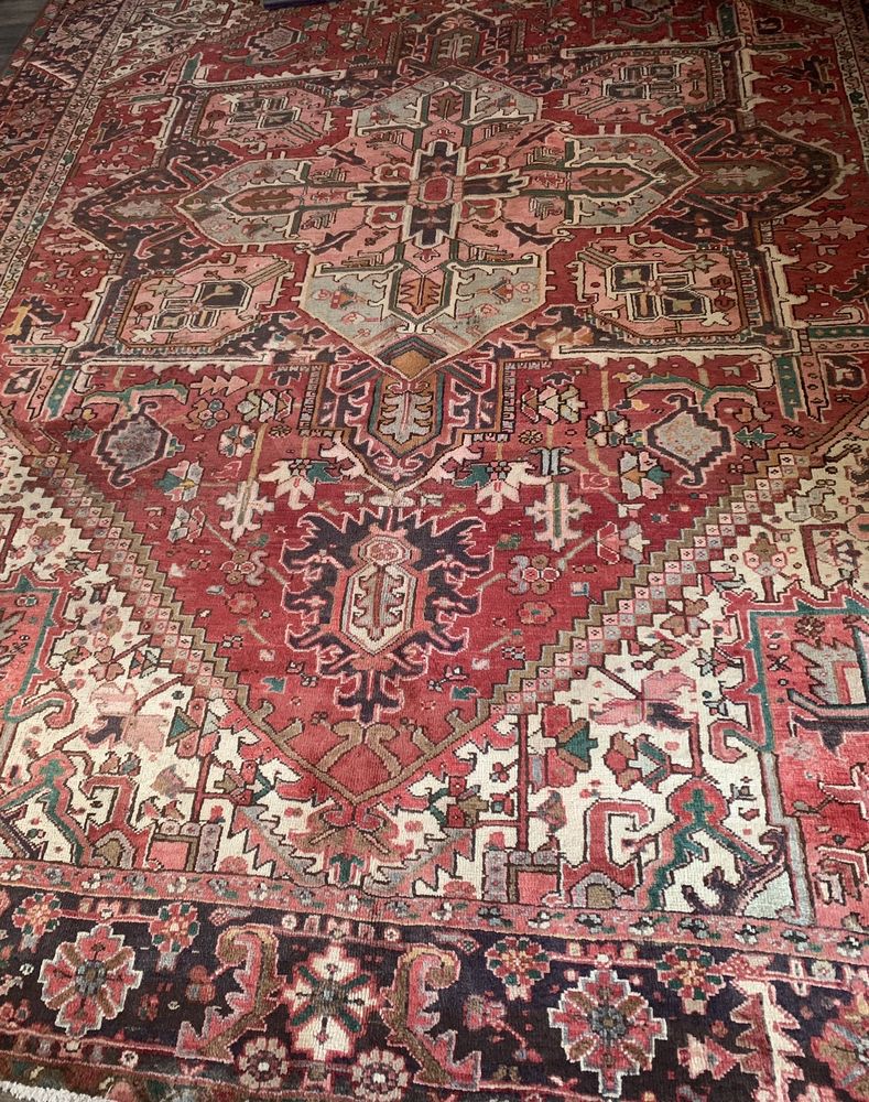 Pasha Rugs