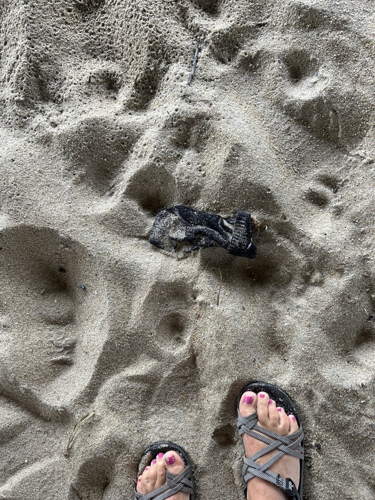 Vacasa North Carolina