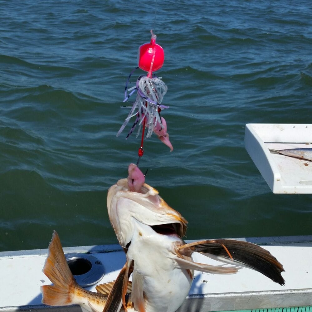 The Anglers Edge Bait and Tackle CLOSED 91 Photos Outdoor Gear