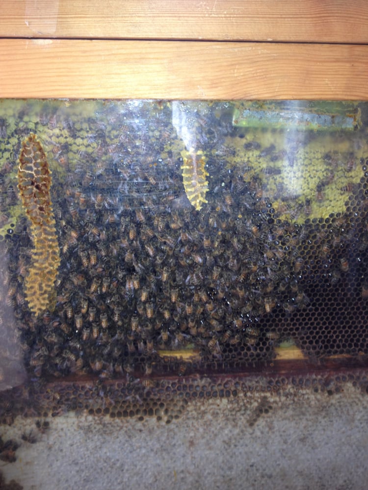 Children’s Museum At Yunker Farm Children's Museums 1201 28th Ave N