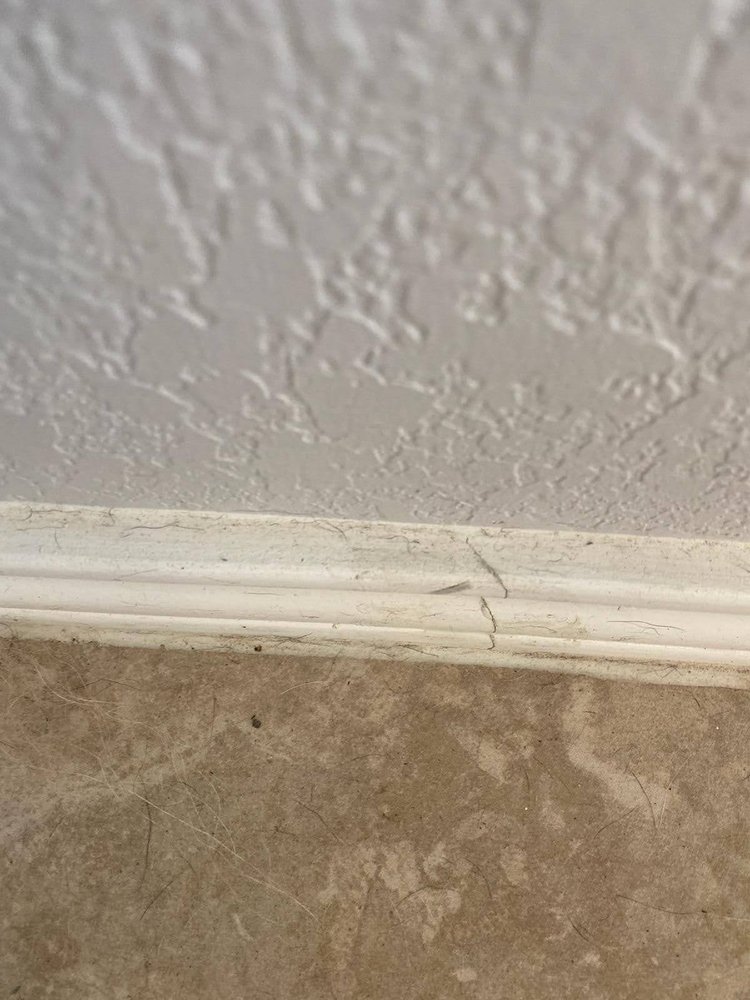 Texas Cleaning Service
