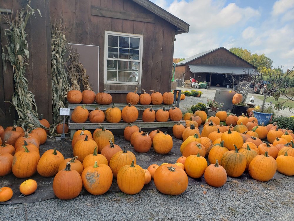 Kristy's Barn