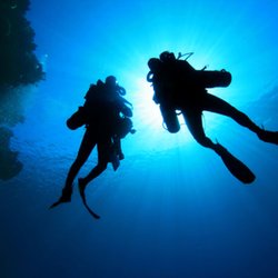 Laguna Sea Dwellers Scuba Diving 220 Newport Center Dr Photo Of Laguna Sea Dwellers Newport Beach Ca United States