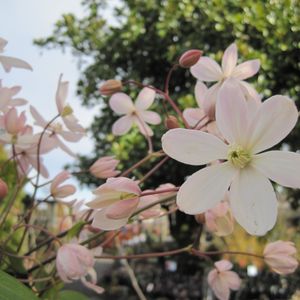 Loen Nursery Garden Center 2019 All You Need To Know Loen Nursery Garden Center 2019 All You Need To Know