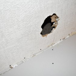 Collegeville Drywall 15 Photos Installation Repair Photo Of Collegeville Drywall Eagleville Pa United States Just Something We See