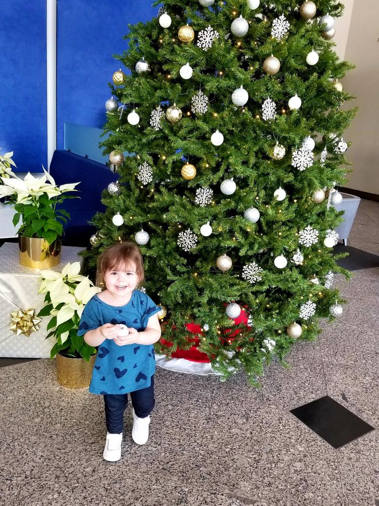 image of business Therapy Tree - Tucson